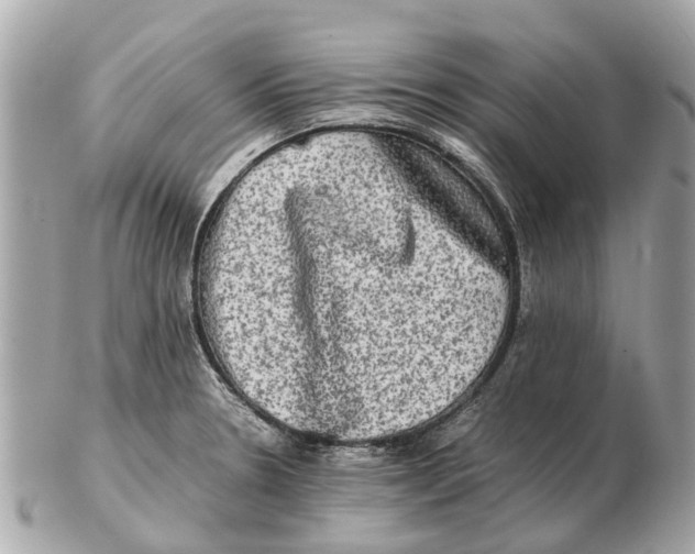 X0000102521330200808291748