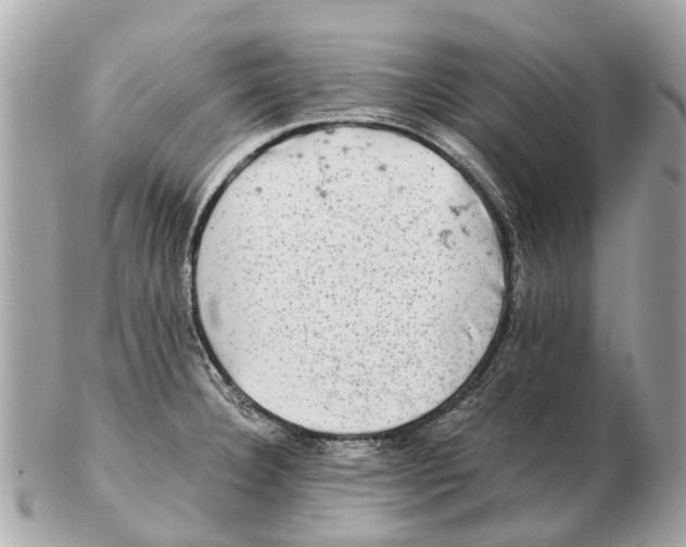 X0000102521332200808291748