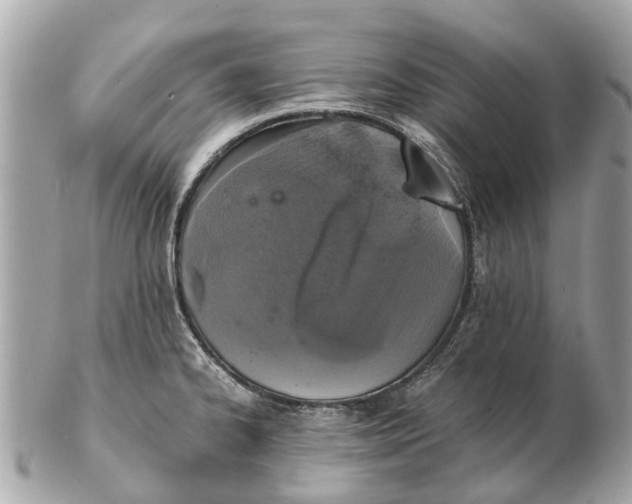 X0000102521334200808291748