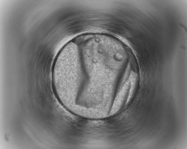 X0000102521335200808291748