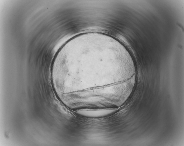 X0000102521336200808291748