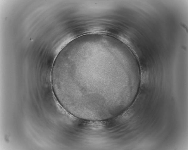 X0000102521338200808291748