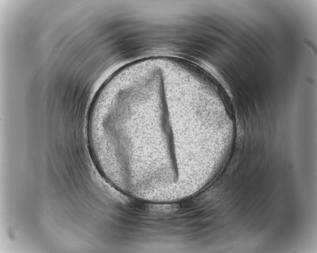 X0000102521339200808291748