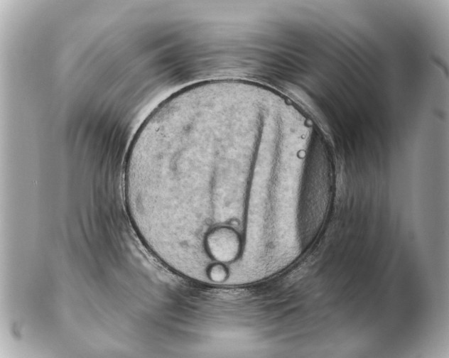 X0000102521340200808291748