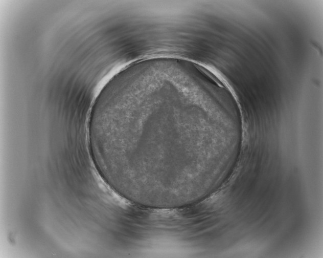 X0000102521341200808291748