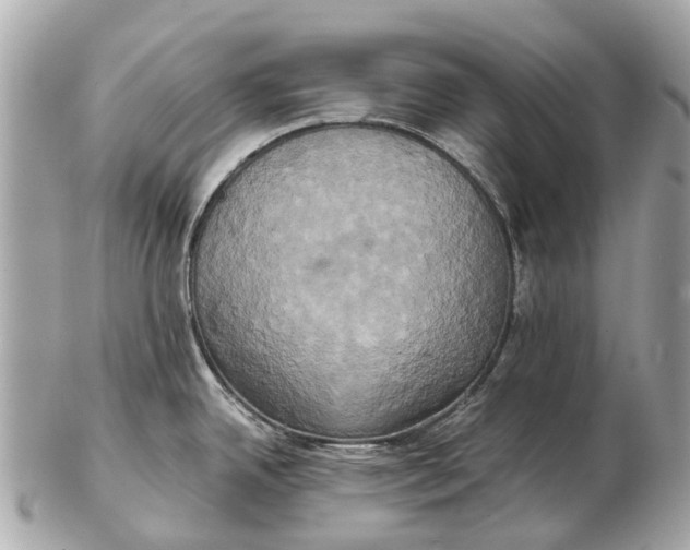 X0000102521342200808291748