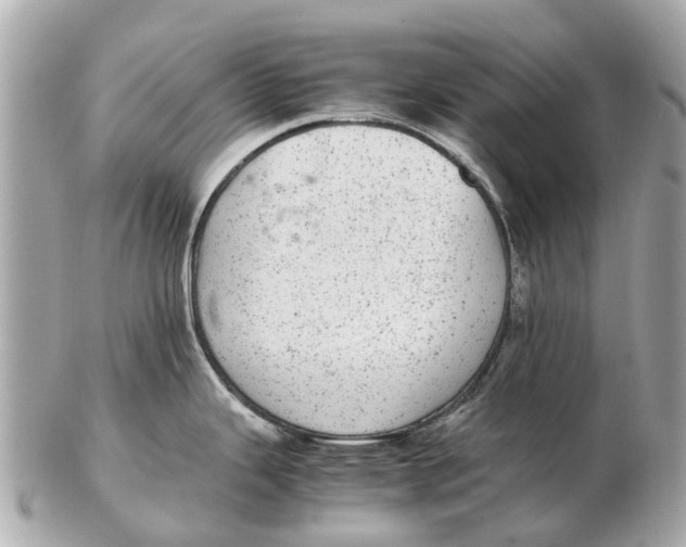 X0000102521343200808291748