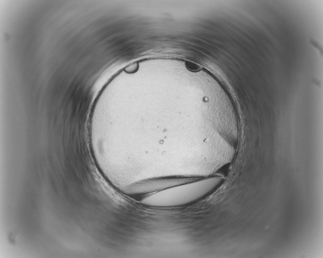 X0000102521344200808291748