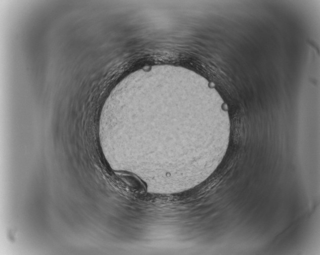 X0000102521345200808291747