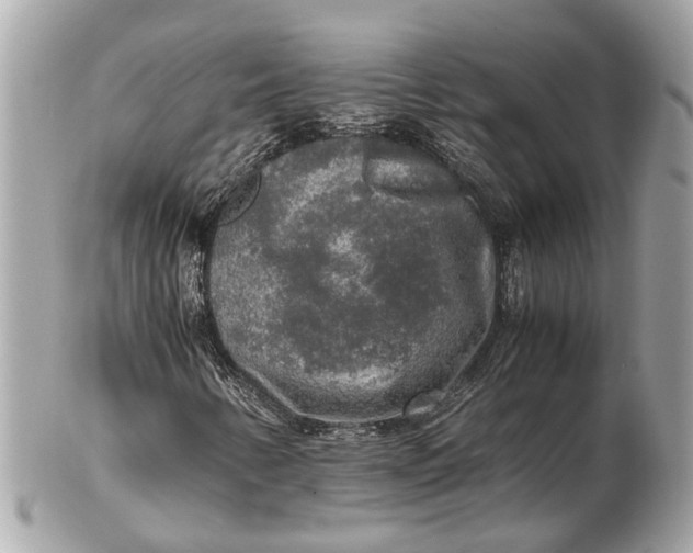 X0000102521346200808291747