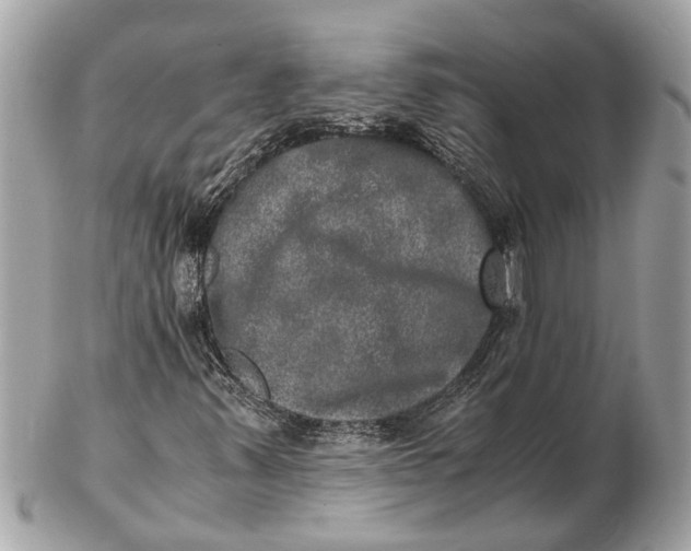 X0000102521347200808291747