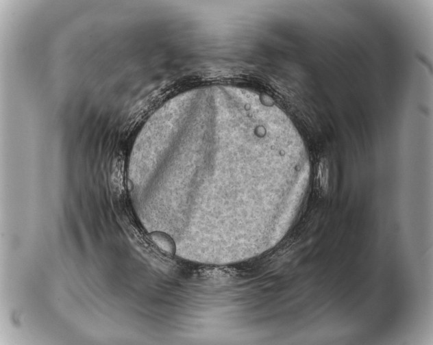 X0000102521348200808291747