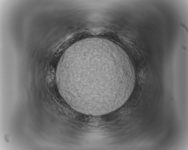 X0000102521349200808291747