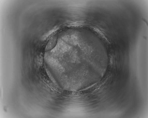 X0000102521350200808291747