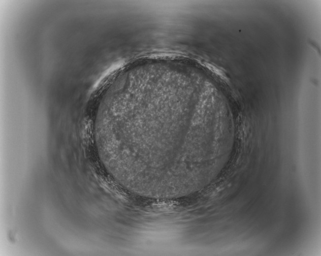 X0000102521351200808291747