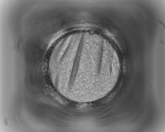 X0000102521352200808291747