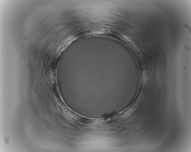 X0000102521353200808291747