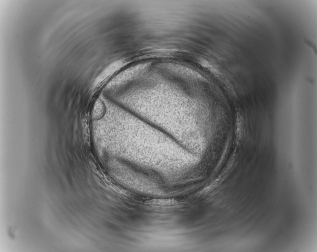 X0000102521354200808291747