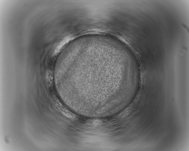 X0000102521355200808291747