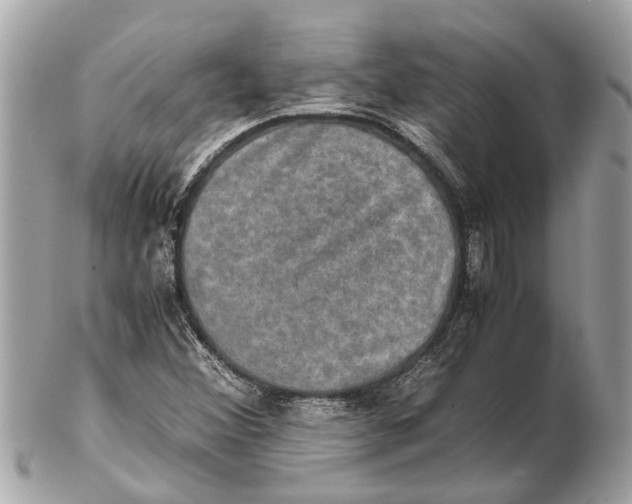 X0000102521356200808291747