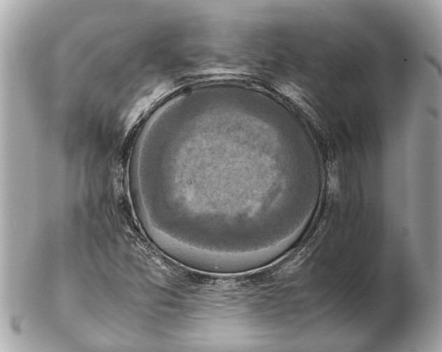 X0000102521357200808291747