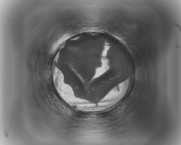 X0000102521359200808291747