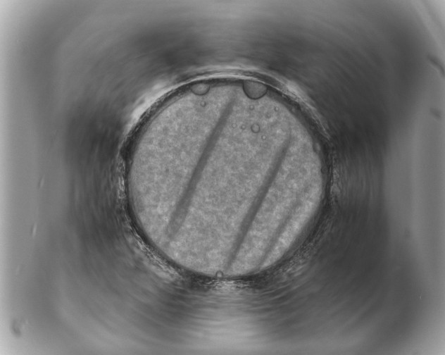 X0000102521360200808291747