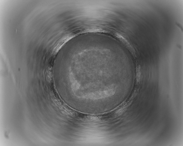 X0000102521361200808291747