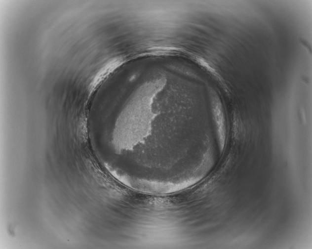 X0000102521362200808291747