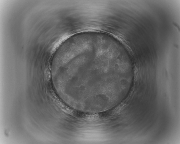 X0000102521363200808291747