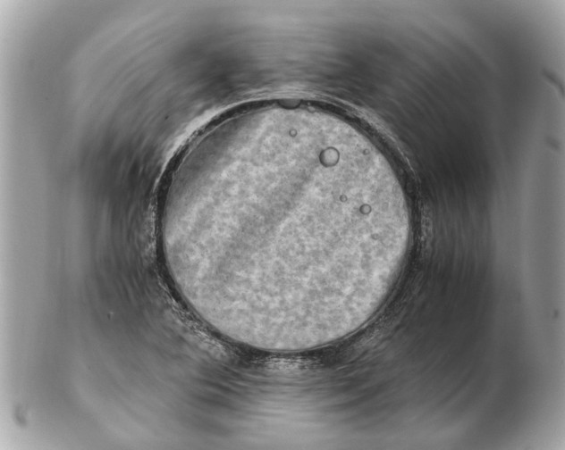 X0000102521364200808291747