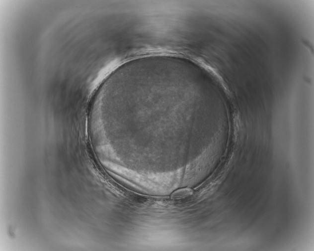 X0000102521365200808291747