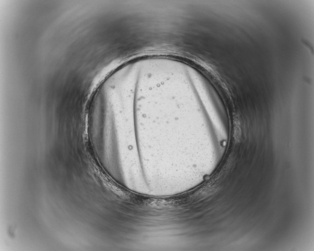 X0000102521366200808291747