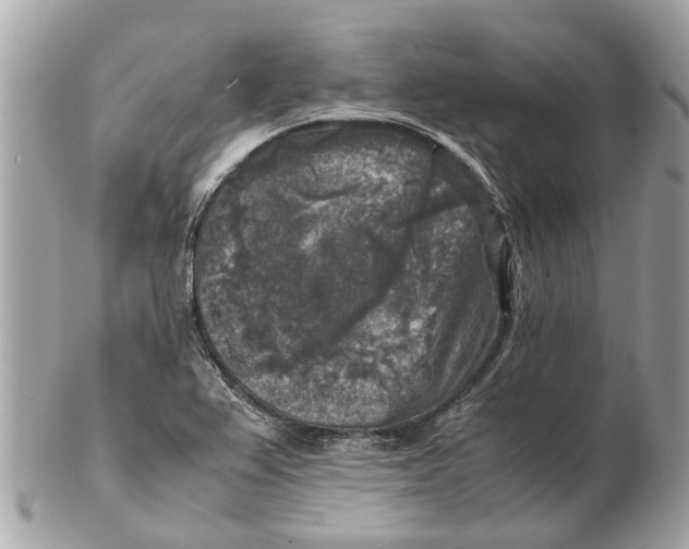 X0000102521367200808291747