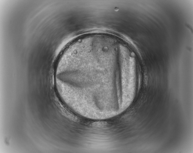 X0000102521368200808291747