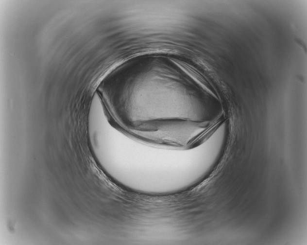 X0000102521369200808291747