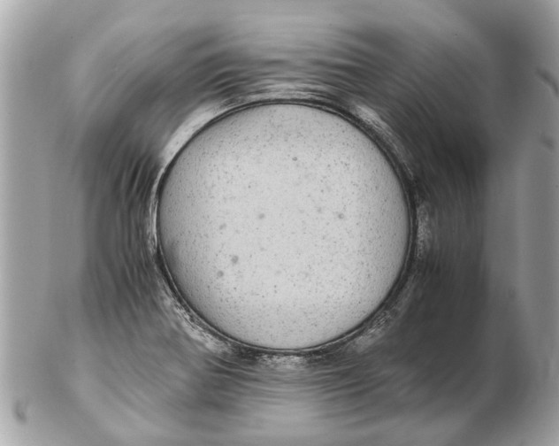 X0000102521370200808291747