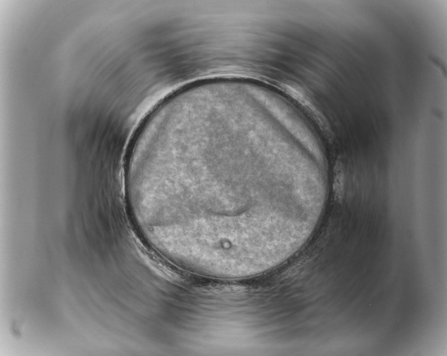 X0000102521372200808291747