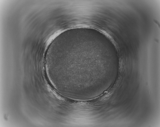 X0000102521373200808291747