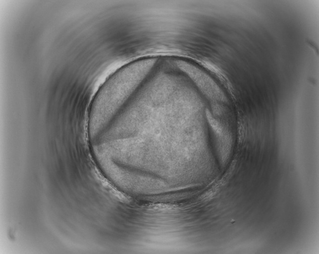 X0000102521374200808291747