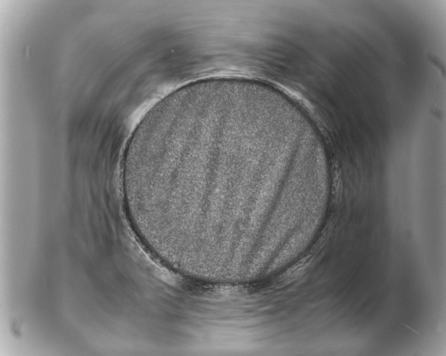 X0000102521375200808291747