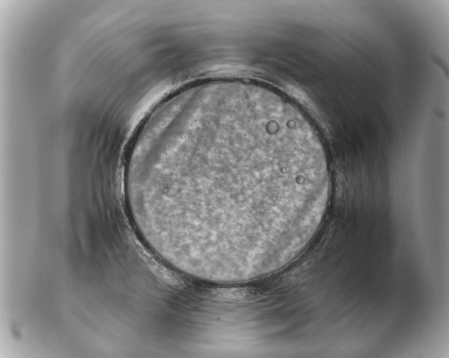 X0000102521376200808291747