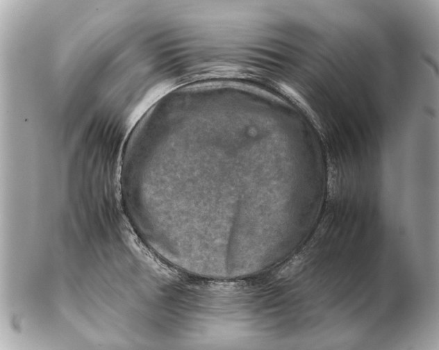 X0000102521378200808291747