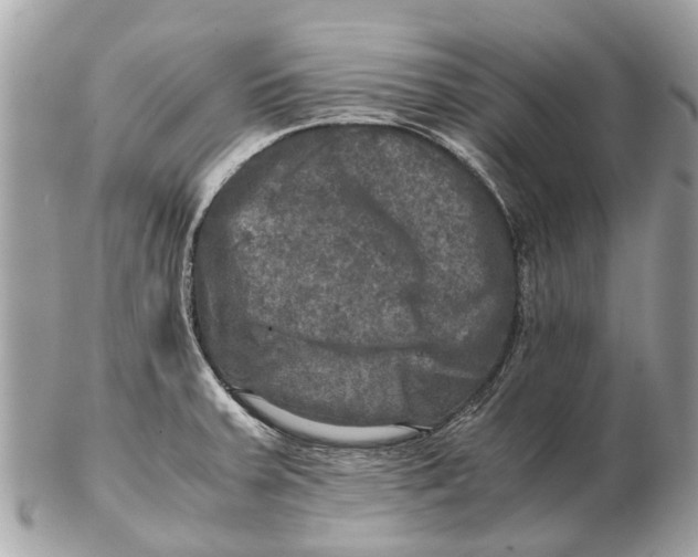 X0000102521379200808291747