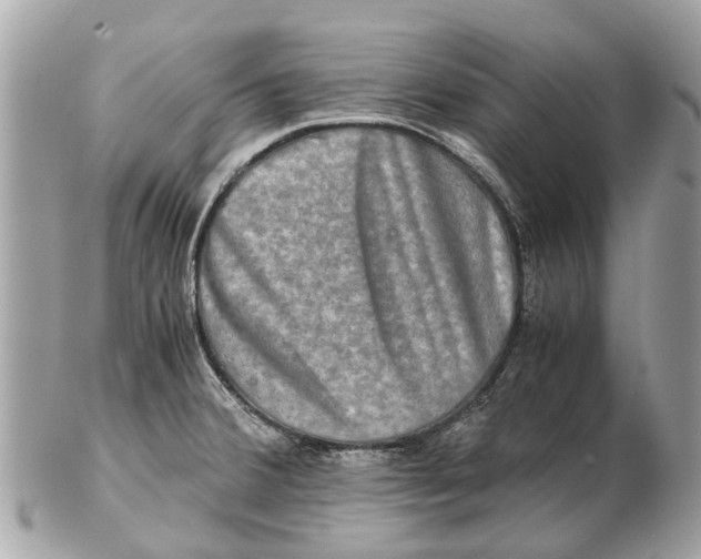 X0000102521380200808291747