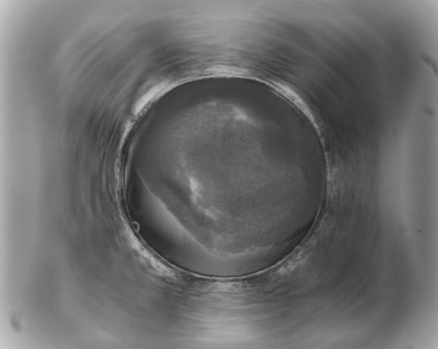 X0000102521381200808291747