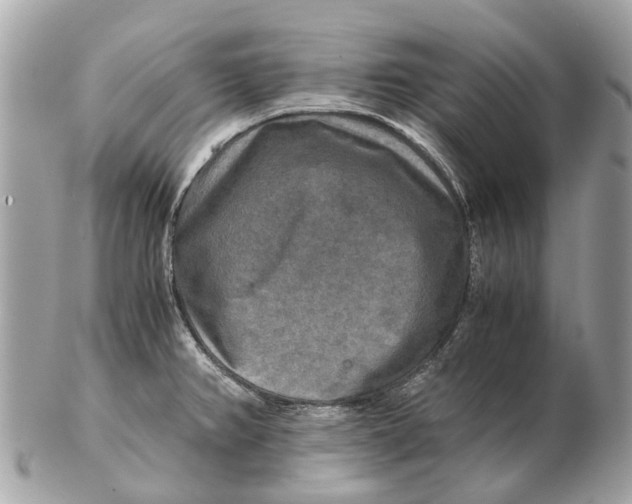 X0000102521382200808291747