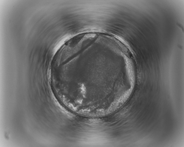 X0000102521383200808291747