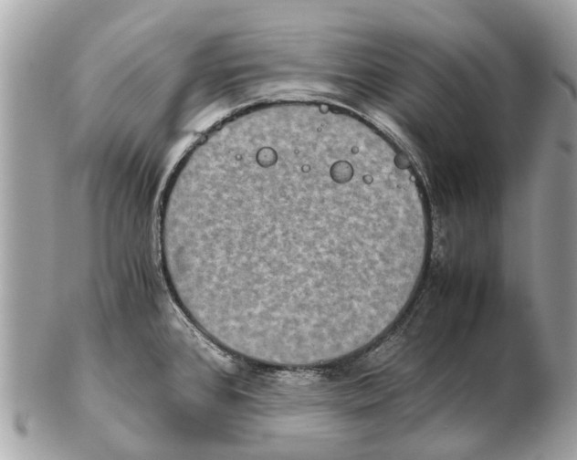 X0000102521384200808291747