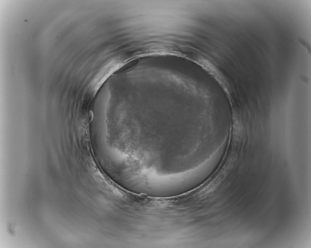 X0000102521385200808291747